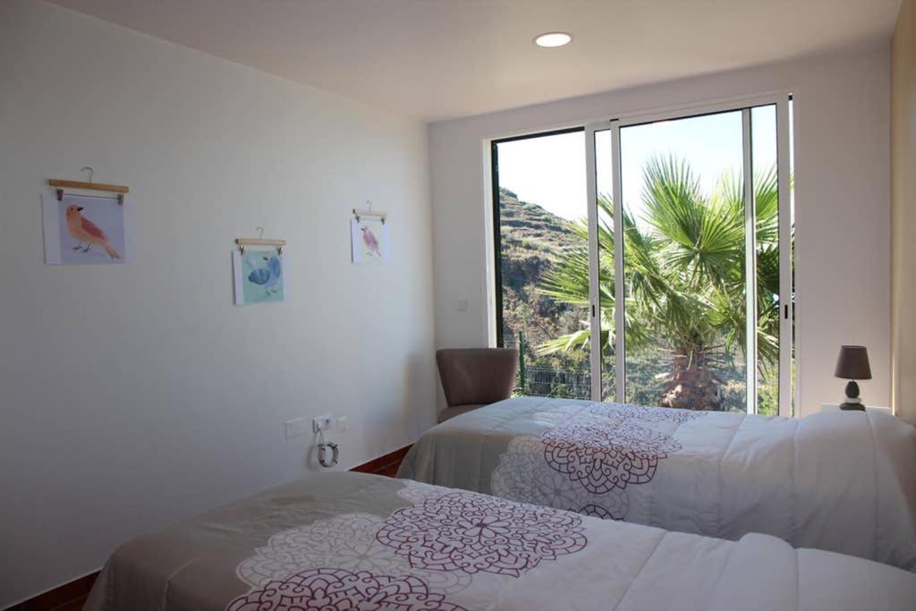 Apartamento Mar Azul Apartment Calheta  Exterior foto
